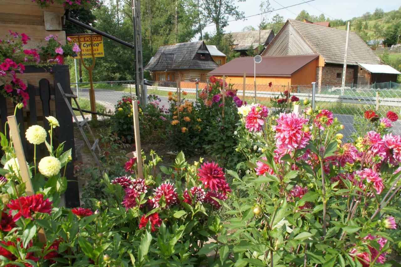 Pokoje Pod Cyrlicą u Józi Chocholow Exterior foto